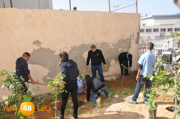 trees shamela 0321 (30).JPG